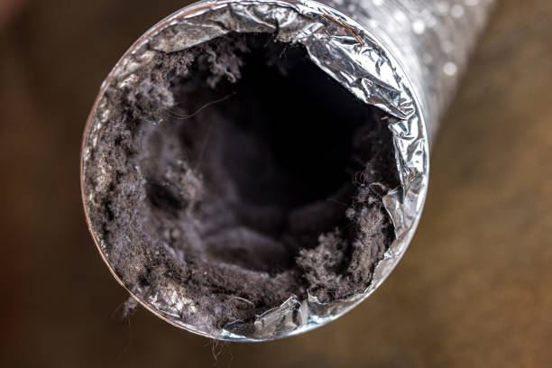 Best HVAC Duct Inspection Services  in Laurel Park, NC