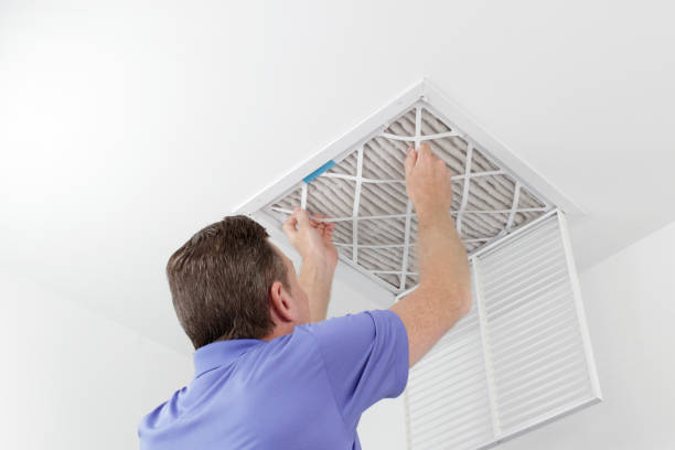 Best Air Duct Mold Removal  in Laurel Park, NC
